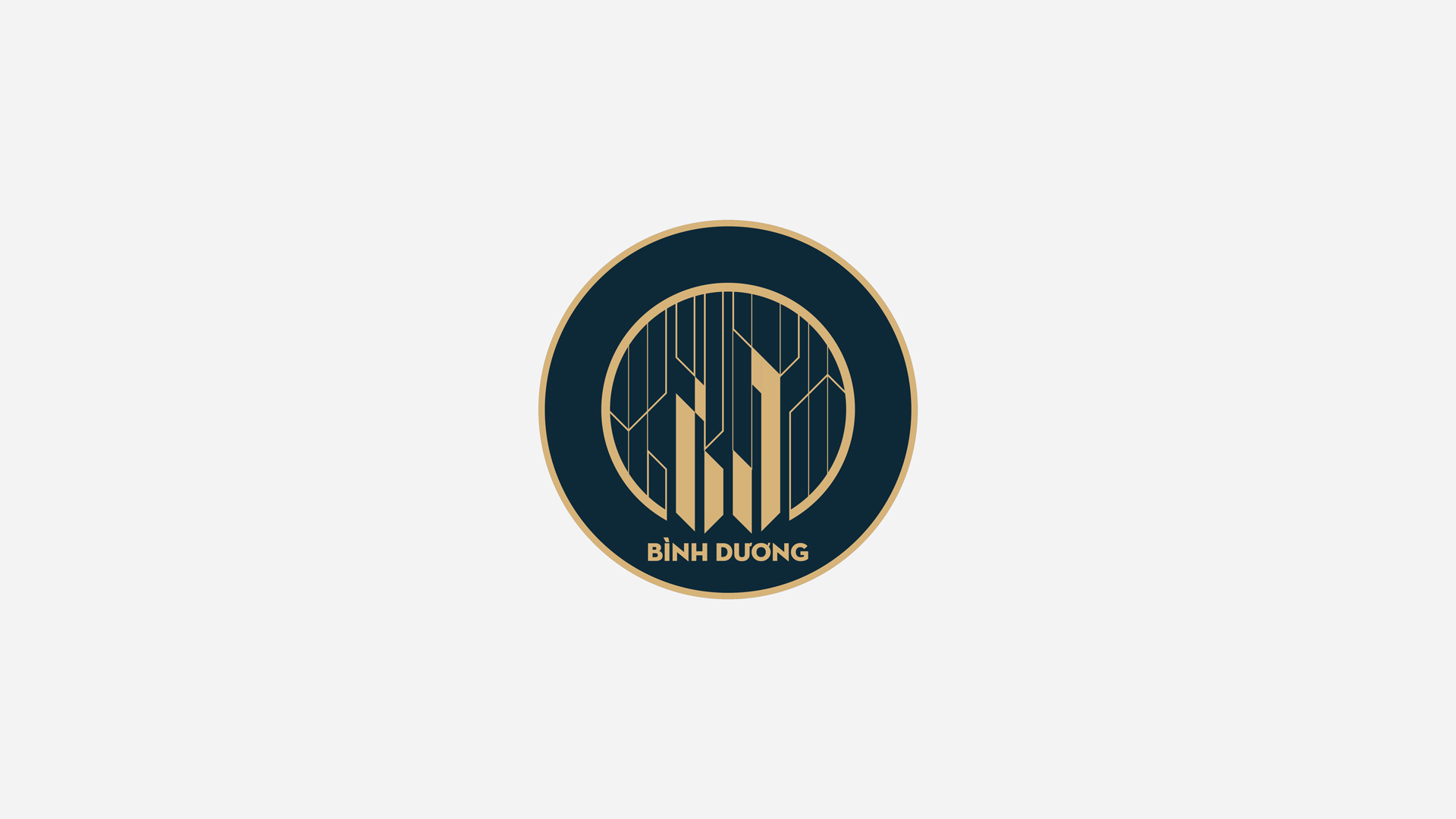 Binh Duong Logo