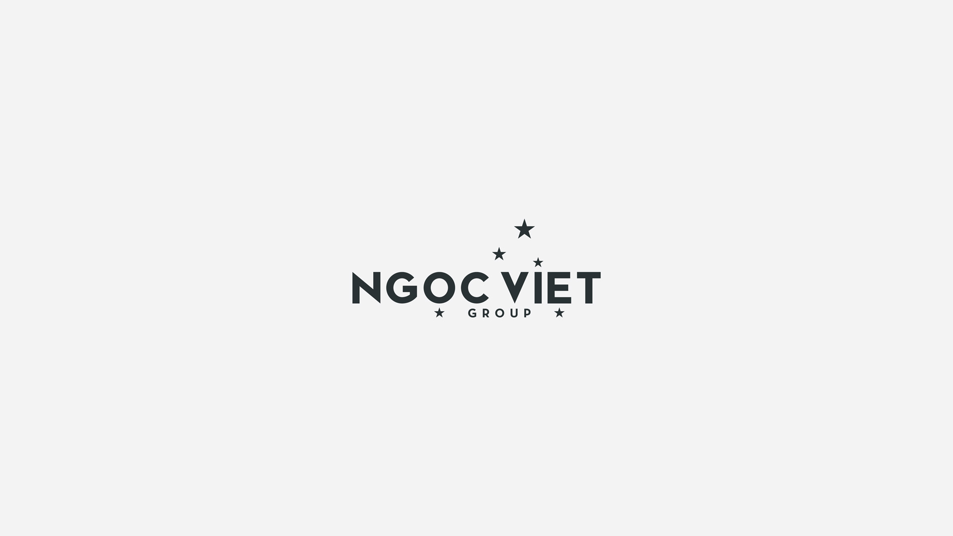 Ngoc Viet Group Logo